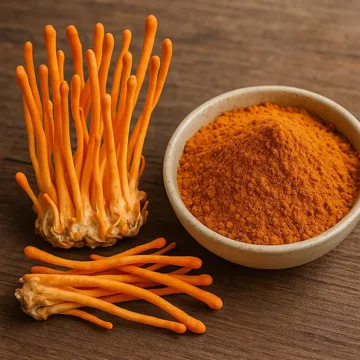 Organic Cordyceps militaris ingredient